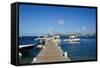 Dock at Oualie Beach, Nevis, St. Kitts and Nevis-Robert Harding-Framed Stretched Canvas