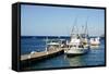 Dock at Oualie Beach, Nevis, St. Kitts and Nevis-Robert Harding-Framed Stretched Canvas
