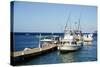 Dock at Oualie Beach, Nevis, St. Kitts and Nevis-Robert Harding-Stretched Canvas