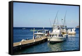 Dock at Oualie Beach, Nevis, St. Kitts and Nevis-Robert Harding-Framed Stretched Canvas