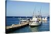 Dock at Oualie Beach, Nevis, St. Kitts and Nevis-Robert Harding-Stretched Canvas