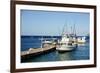 Dock at Oualie Beach, Nevis, St. Kitts and Nevis-Robert Harding-Framed Photographic Print