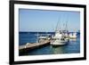 Dock at Oualie Beach, Nevis, St. Kitts and Nevis-Robert Harding-Framed Photographic Print