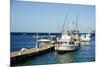 Dock at Oualie Beach, Nevis, St. Kitts and Nevis-Robert Harding-Mounted Photographic Print