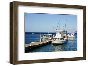 Dock at Oualie Beach, Nevis, St. Kitts and Nevis-Robert Harding-Framed Photographic Print