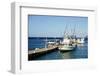 Dock at Oualie Beach, Nevis, St. Kitts and Nevis-Robert Harding-Framed Photographic Print