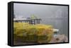 Dock, Boathouse in Fog, New Harbor, Maine, USA-Lynn M^ Stone-Framed Stretched Canvas