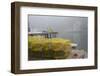 Dock, Boathouse in Fog, New Harbor, Maine, USA-Lynn M^ Stone-Framed Photographic Print