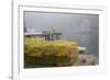 Dock, Boathouse in Fog, New Harbor, Maine, USA-Lynn M^ Stone-Framed Photographic Print