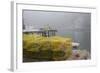 Dock, Boathouse in Fog, New Harbor, Maine, USA-Lynn M^ Stone-Framed Photographic Print