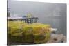Dock, Boathouse in Fog, New Harbor, Maine, USA-Lynn M^ Stone-Stretched Canvas