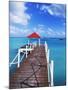 Dock in St. Francois, Guadeloupe, Puerto Rico-Bill Bachmann-Mounted Photographic Print