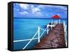 Dock in St. Francois, Guadeloupe-Bill Bachmann-Framed Stretched Canvas