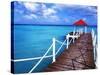 Dock in St. Francois, Guadeloupe-Bill Bachmann-Stretched Canvas