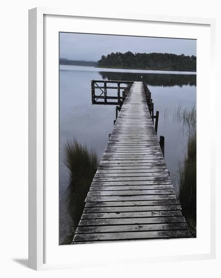 Dock, Shanghai Bay, Lake Mahinapua, West Coast, South Island, New Zealand, Pacific-Jochen Schlenker-Framed Photographic Print