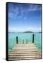 Dock , Staniel Cay, Exuma, Bahamas-James White-Framed Stretched Canvas