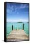 Dock , Staniel Cay, Exuma, Bahamas-James White-Framed Stretched Canvas