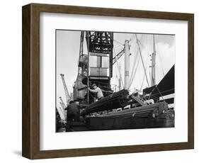 Dockers Loading Steel Bars onto the Manchester Renown, Manchester, 1964-Michael Walters-Framed Photographic Print