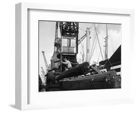 Dockers Loading Steel Bars onto the Manchester Renown, Manchester, 1964-Michael Walters-Framed Photographic Print