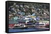 Docks in Castries Harbor, St. Lucia, Windward Islands, West Indies, Caribbean, Central America-Richard Cummins-Framed Stretched Canvas