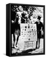 Doctor Dolittle-null-Framed Stretched Canvas