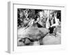 Doctor Dolittle-null-Framed Photo