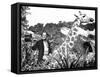 Doctor Dolittle-null-Framed Stretched Canvas