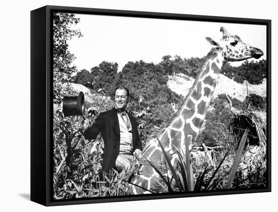 Doctor Dolittle-null-Framed Stretched Canvas