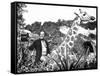 Doctor Dolittle-null-Framed Stretched Canvas