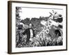 Doctor Dolittle-null-Framed Photo