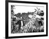 Doctor Dolittle-null-Framed Photo