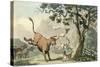 Doctor Syntax Pursued by a Bull-Thomas Rowlandson-Stretched Canvas