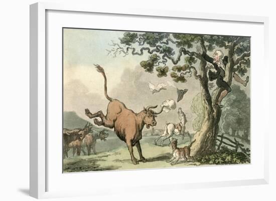 Doctor Syntax Pursued by a Bull-Thomas Rowlandson-Framed Art Print