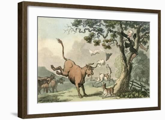 Doctor Syntax Pursued by a Bull-Thomas Rowlandson-Framed Art Print