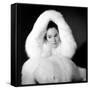 Doctor Zhivago, Geraldine Chaplin, 1965-null-Framed Stretched Canvas