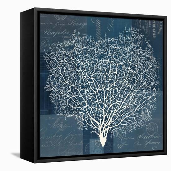 Document Sea Fern 1-Z Studio-Framed Stretched Canvas