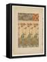 Documents Decoratifs: Oriental Poppies (Colour Litho)-Alphonse Marie Mucha-Framed Stretched Canvas