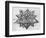 Dodecahedron, from "De Divina Proportione" by Luca Pacioli, Published 1509, Venice-Leonardo da Vinci-Framed Premium Giclee Print