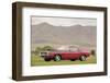 Dodge Challenger TA 1970-Simon Clay-Framed Photographic Print