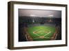 Dodger Park, Los Angeles-Ira Rosen-Framed Art Print