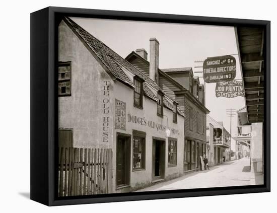 Dodges Old Curiosity Shop, St. George Street, St. Augustine, Fla.-null-Framed Stretched Canvas