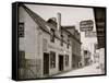 Dodges Old Curiosity Shop, St. George Street, St. Augustine, Fla.-null-Framed Stretched Canvas