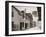 Dodges Old Curiosity Shop, St. George Street, St. Augustine, Fla.-null-Framed Photo