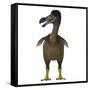 Dodo Bird, Front View-Stocktrek Images-Framed Stretched Canvas