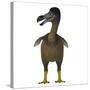 Dodo Bird, Front View-Stocktrek Images-Stretched Canvas