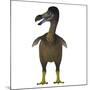 Dodo Bird, Front View-Stocktrek Images-Mounted Art Print