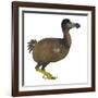 Dodo Bird, Side View-Stocktrek Images-Framed Art Print