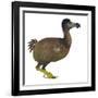 Dodo Bird, Side View-Stocktrek Images-Framed Art Print