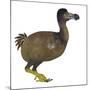 Dodo Bird, Side View-Stocktrek Images-Mounted Art Print