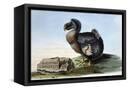 Canvas Black